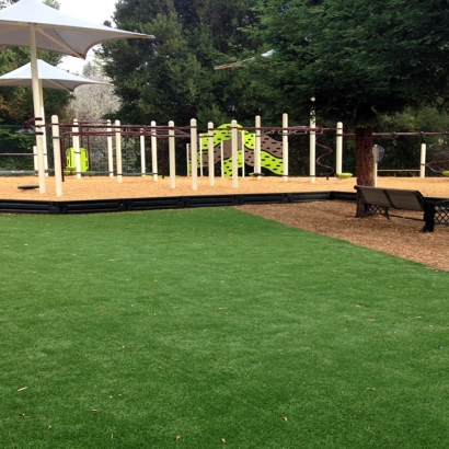 Artificial Grass Installation in Downey, California