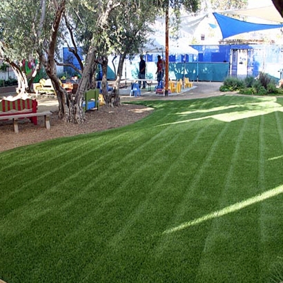 Grass Stripes on Synthetic Lawn Artificial Grass Green with playground