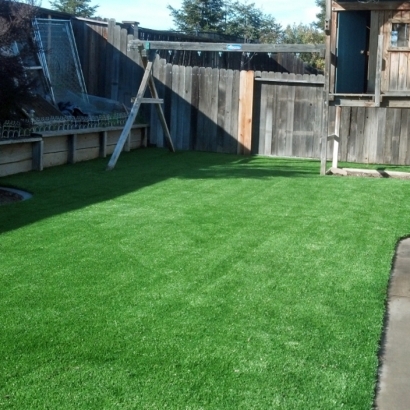 Artificial Grass Installation in Richmond, Virginia