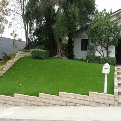 Artificial Grass Installation in Richmond, California