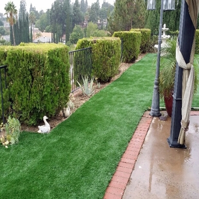 Artificial Grass Installation in Murrieta, California