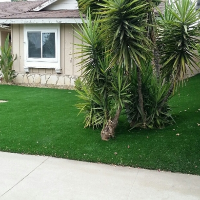 Artificial Grass Installation in Miramar, Florida