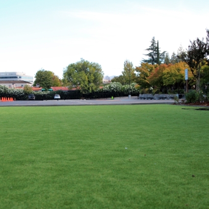 Artificial Grass Installation In Lakewood, California