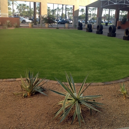 Artificial Grass Installation In Marana, Arizona