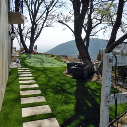 Artificial Grass Installation In Palos Verdes Peninsula, California