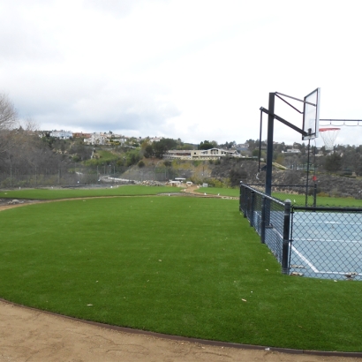 Artificial Grass, Fake Grass In Los Angeles, California