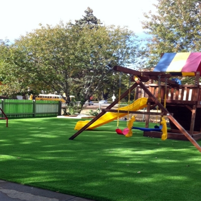 Artificial Grass, Synthetic Grass Berkeley, Alameda County, California