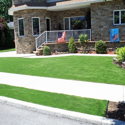 Artificial Grass Home Front Yard