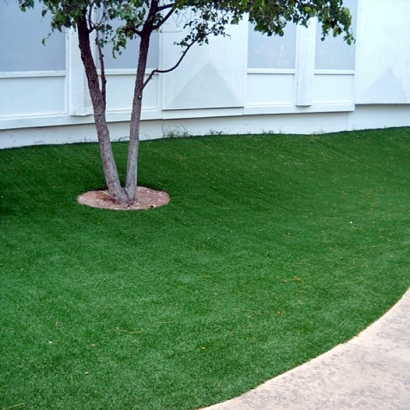 Artificial Grass Installation In San Anselmo, California