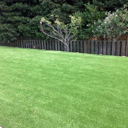 Artificial Grass Installation In Cape Coral, Florida