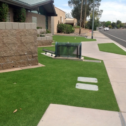 Artificial Grass Installation In Florence, Arizona