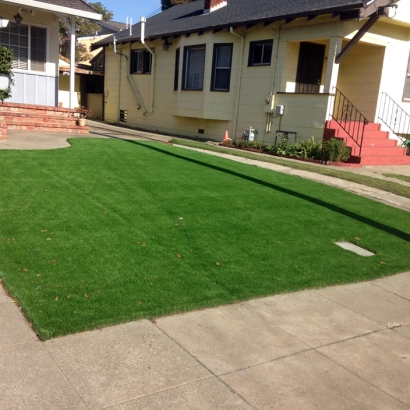 Artificial Grass Installation in Harlingen, Texas