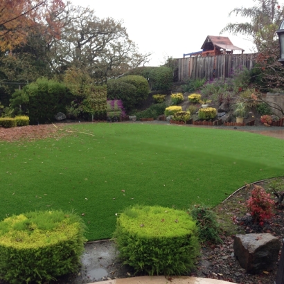 Artificial Grass Installation In Hercules, California