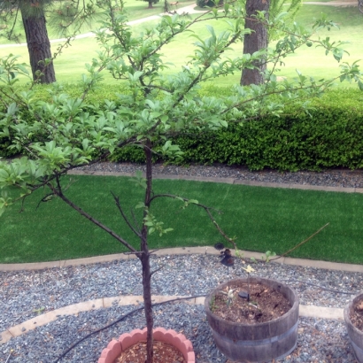 Artificial Grass Installation in Mt Laguna, California