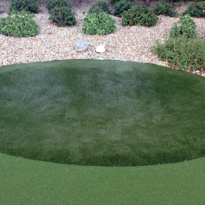 Artificial Grass Installation In Lexington, Kentucky