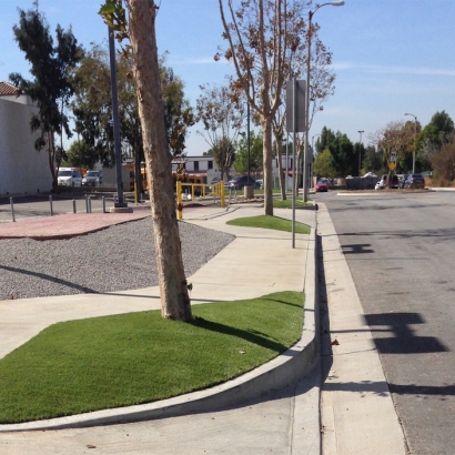 Artificial Grass Installation in Lodi, California