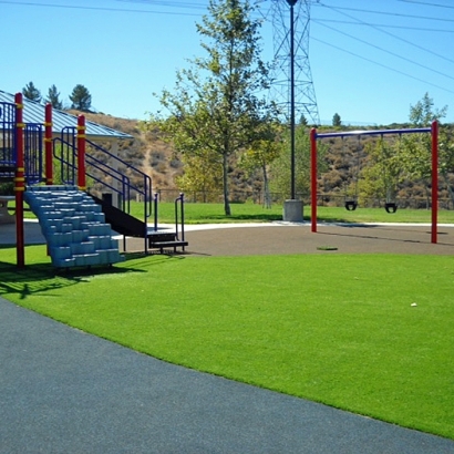 Artificial Grass Installation in Des Moines, Iowa