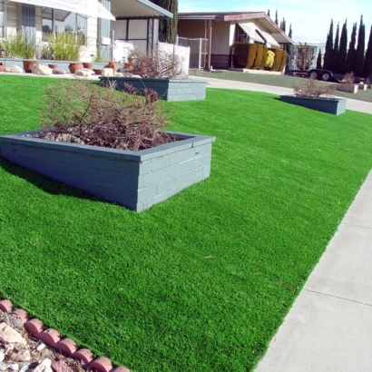 Artificial Grass Installation in Muscoy, California