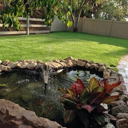 Artificial Grass Installation in Signal Hill, California