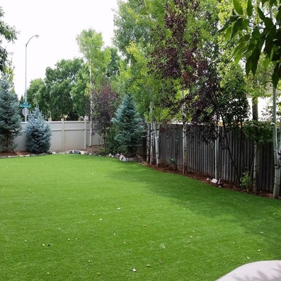 Artificial Grass Installation in Temple City, California