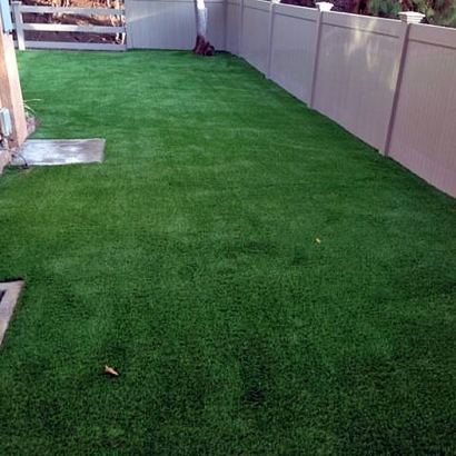 Artificial Grass Installation in View Park-Windsor Hills, California