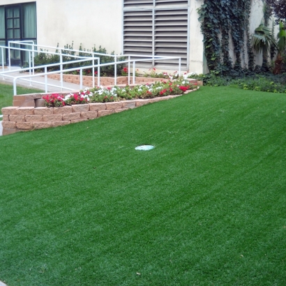Artificial Grass Installation in West Palm Beach, Florida