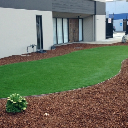 Artificial Grass Installation in Westmont, California