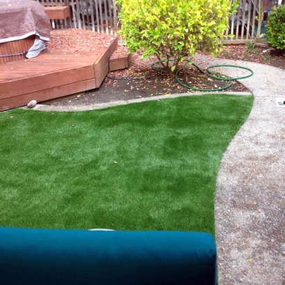 Artificial Grass Installation in Weston, Florida