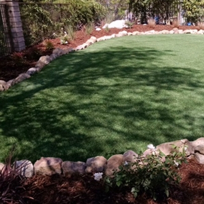 Synthetic grass backyard