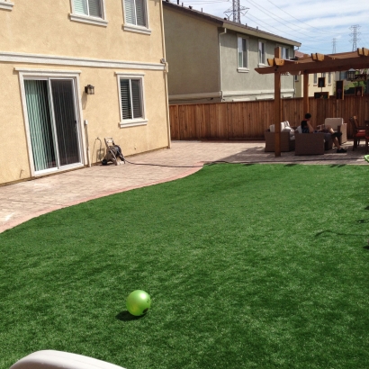 Artificial Grass, Turf Grass Tulare, California