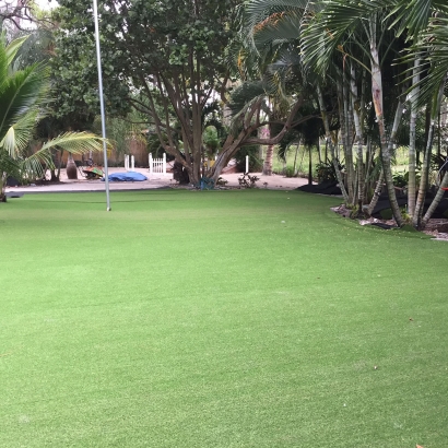 Landscape Ideas with Synthetic Grass Azusa, California