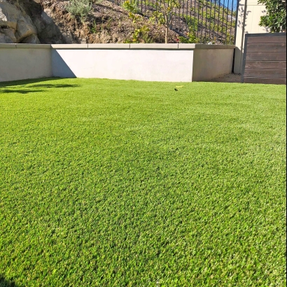 San Diego Artificial Grass Backyard