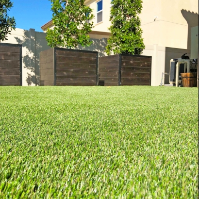 Complete Backyard Renovation with Artificial Grass