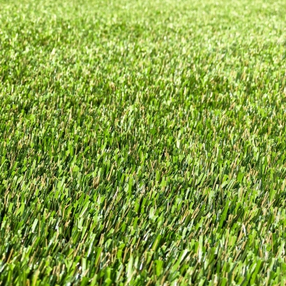 Featuring Super Natural 80 Synthetic Turf