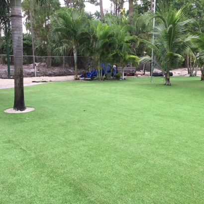 Landscape Design with Synthetic Grass Ceres, California