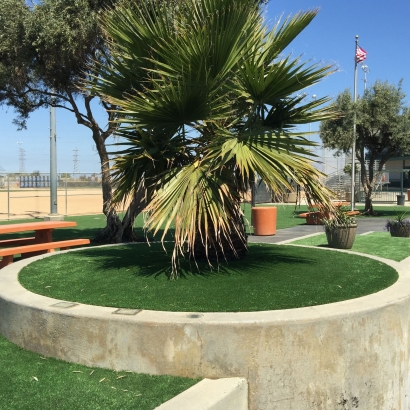 Outdoor Carpet, Artificial Grass Pico Rivera, California