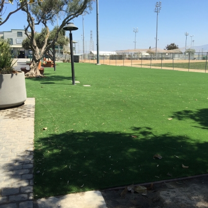 Landscape Ideas with Artificial Grass South Whittier, California