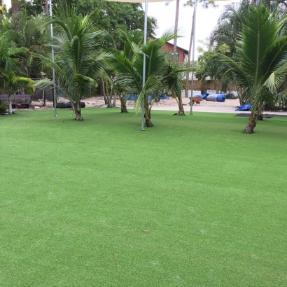 Synthetic Grass, Field Turf Florence-Graham, California