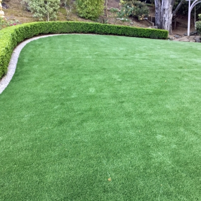 Synthetic Grass Installation In Detroit, Michigan