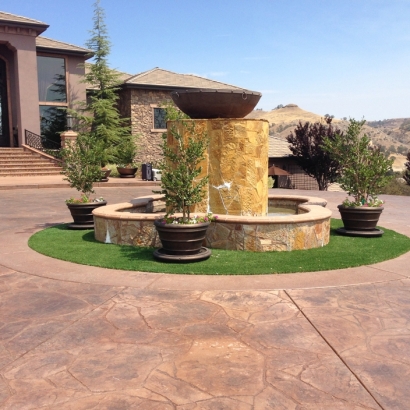 Synthetic Grass Installation In Fremont, California