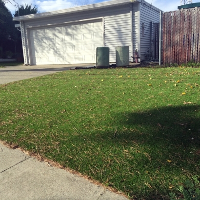 Synthetic Grass Installation In San Jose, California