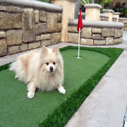 Synthetic Grass Installation In Santa Ana, California