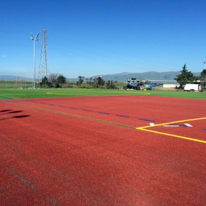 Synthetic Grass Installation In Sunnyvale, California