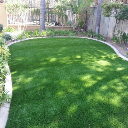 Synthetic Grass Lawn North Glendale, California