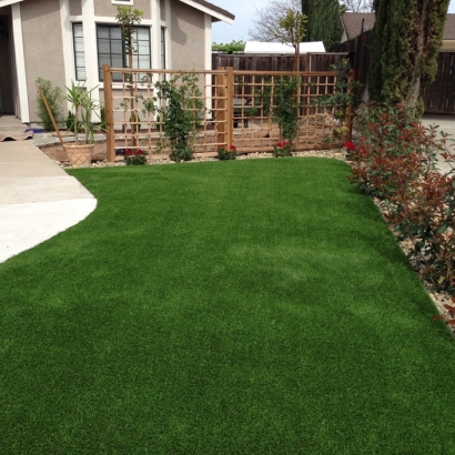 Synthetic Grass In Torrance, California