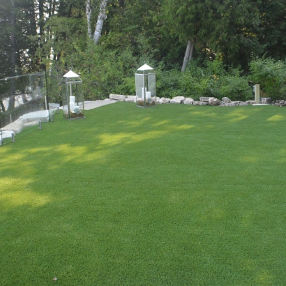 Synthetic Lawn, Artificial Grass Sister Bay, Wisconsin