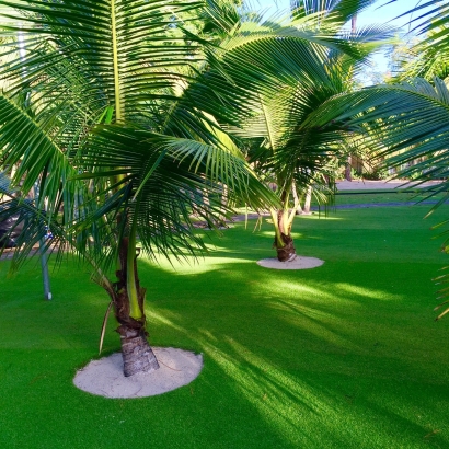 Synthetic lawn installation with palm trees backyard Florida.