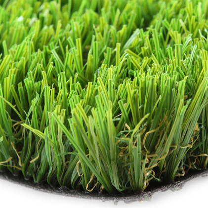 No More Water Bills or Lawn Care Expenses - C Blade-92