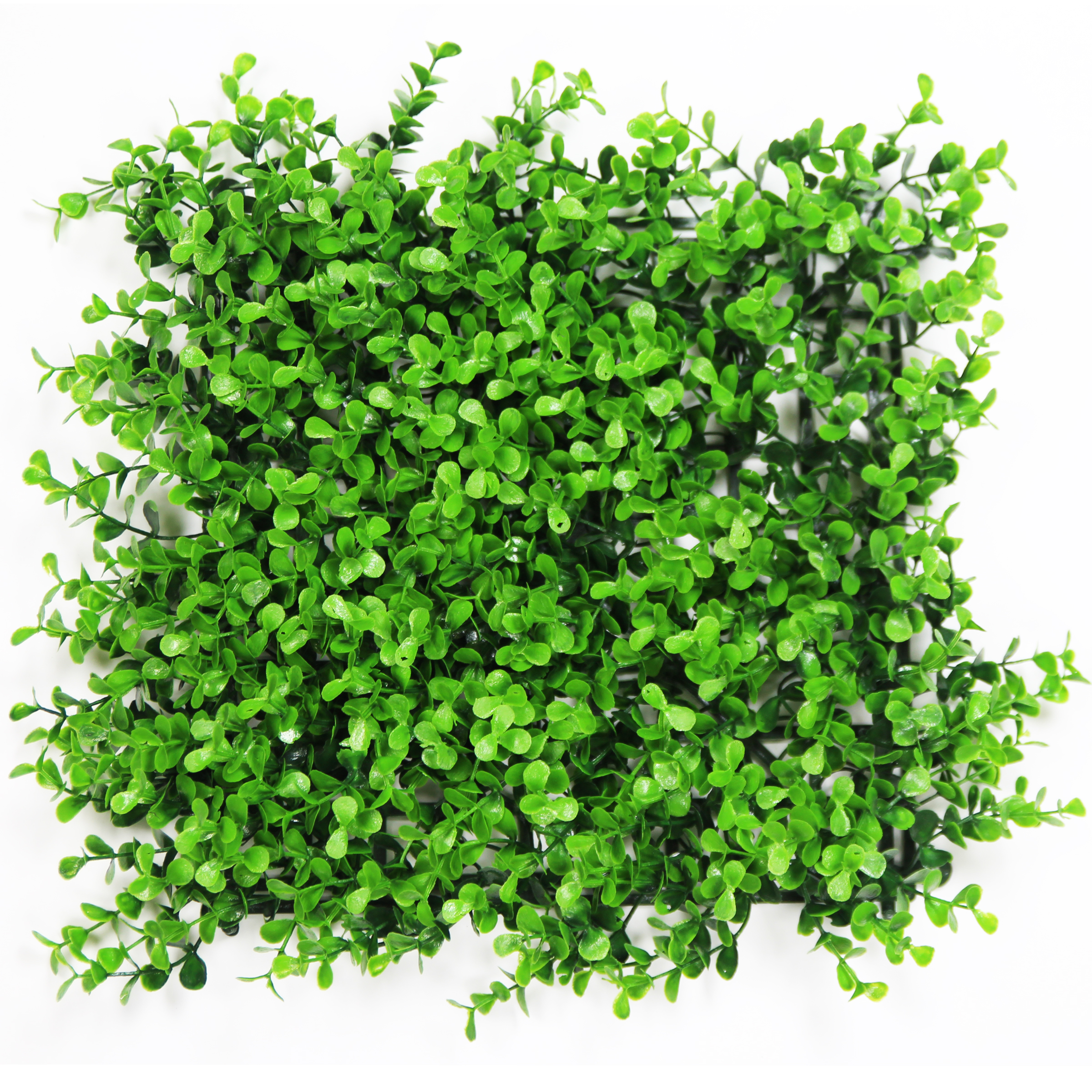 Hawthorn Hedge artificial boxwood ivy panels