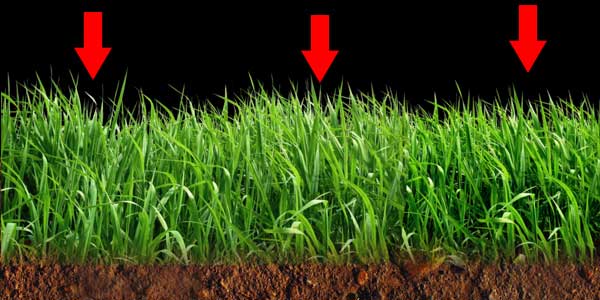 Artificial grass drainage technology